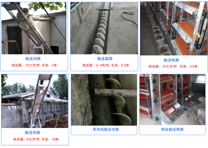 養殖場螺旋輸送機應用